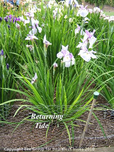 03 Returning Tide
